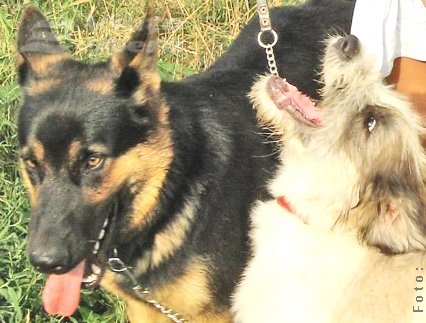 Ba al meu e mai frumos!