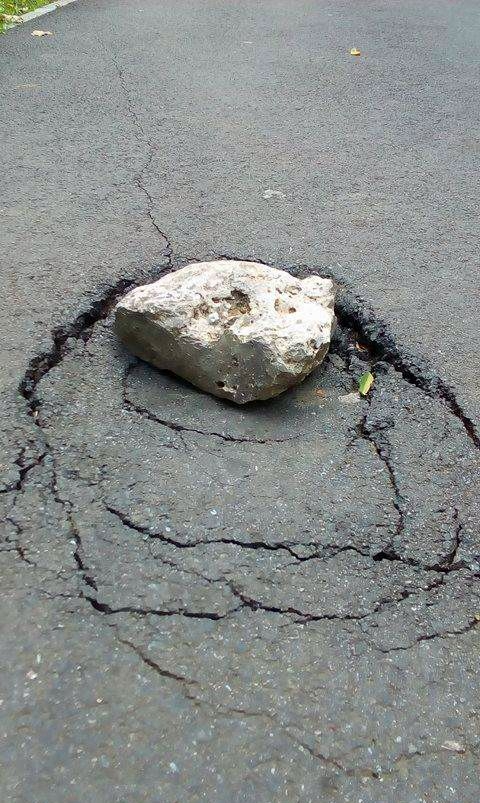 TINERII ȘI ORAŞUL | Românul e inventiv. Soluţii inedite de ASFALTARE în Grădina Publică