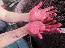 Vinul "în fierbere" poate ucide!