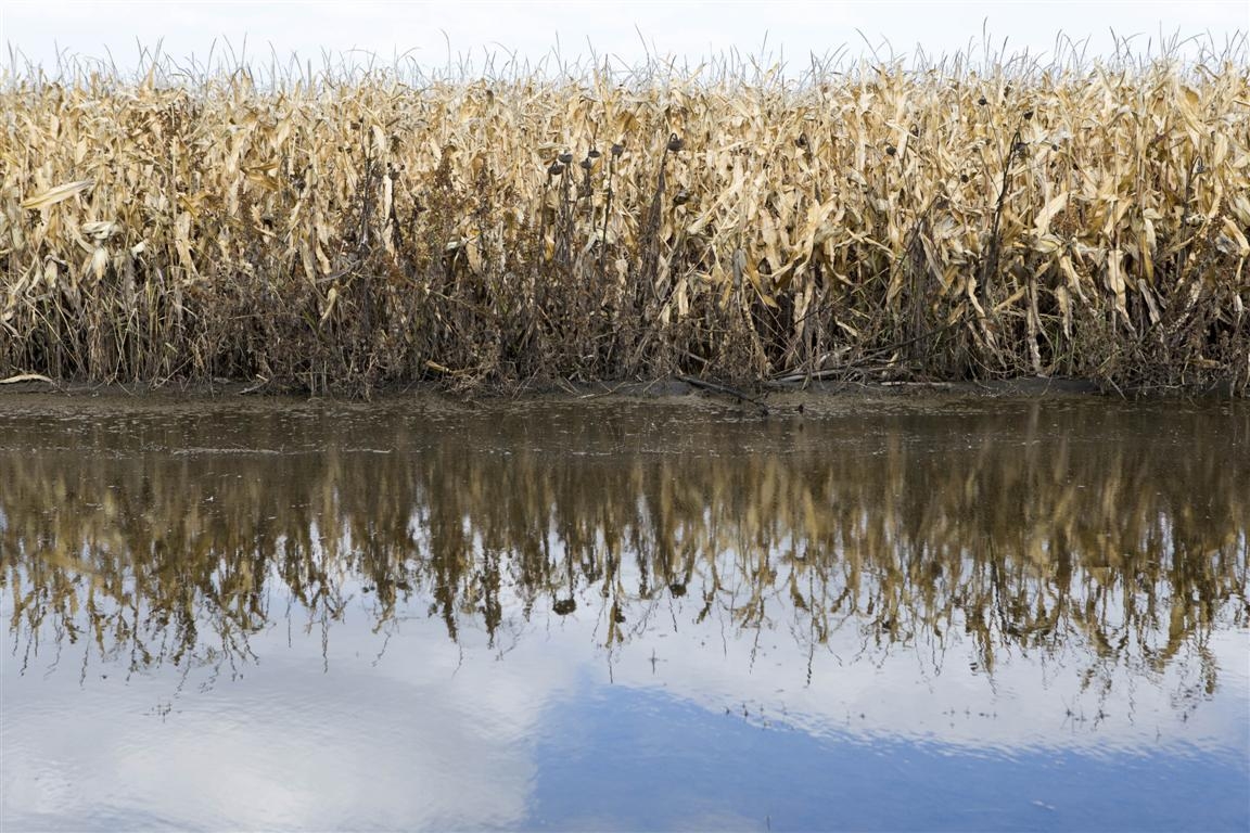 Statul nu le-a dat niciun ban fermierilor gălăţeni, la o lună după ce terenurile le-au fost inundate