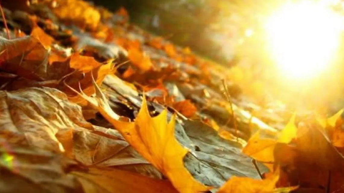 Meteo. Vreme frumoasă și caldă în weekend