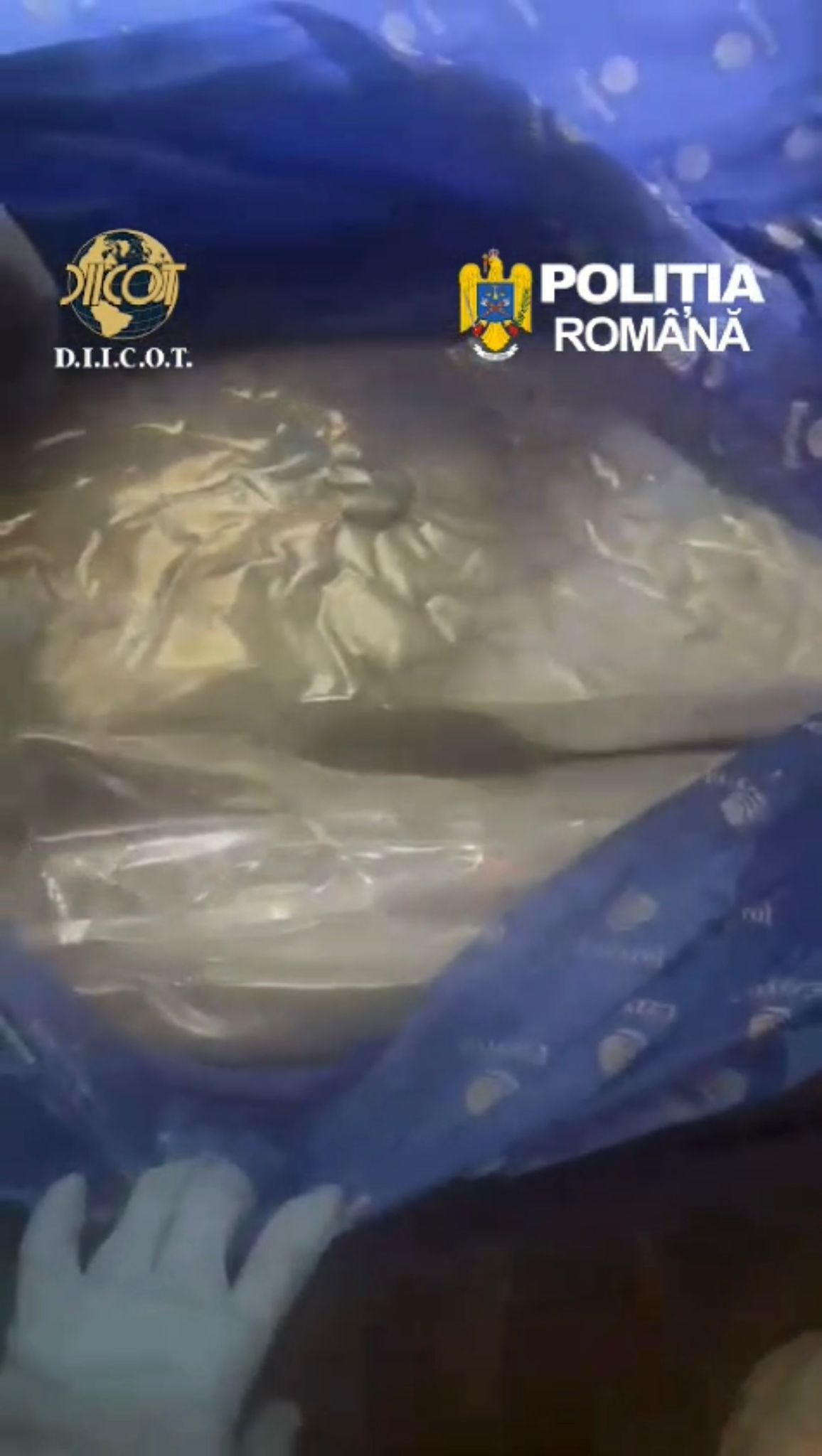 Captură de canabis la Galați. Peste 15 kg de droguri aduse din Spania