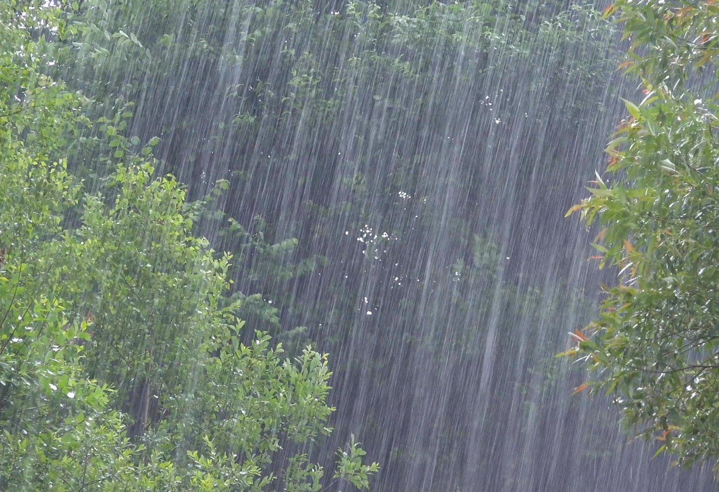 Vreme închisă și temperaturi în scădere la Galați