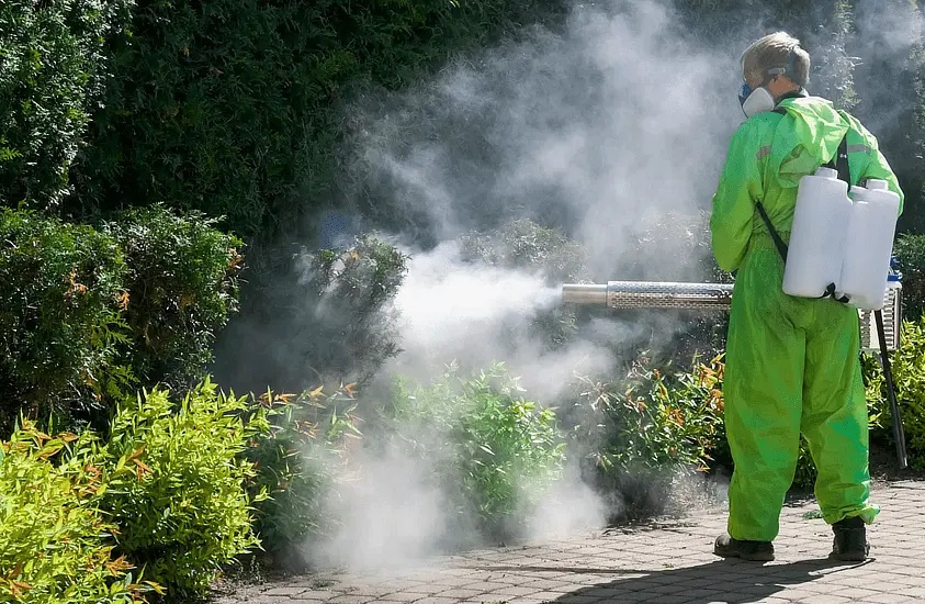 Dezinsecție pe Faleza inferioară a Dunării