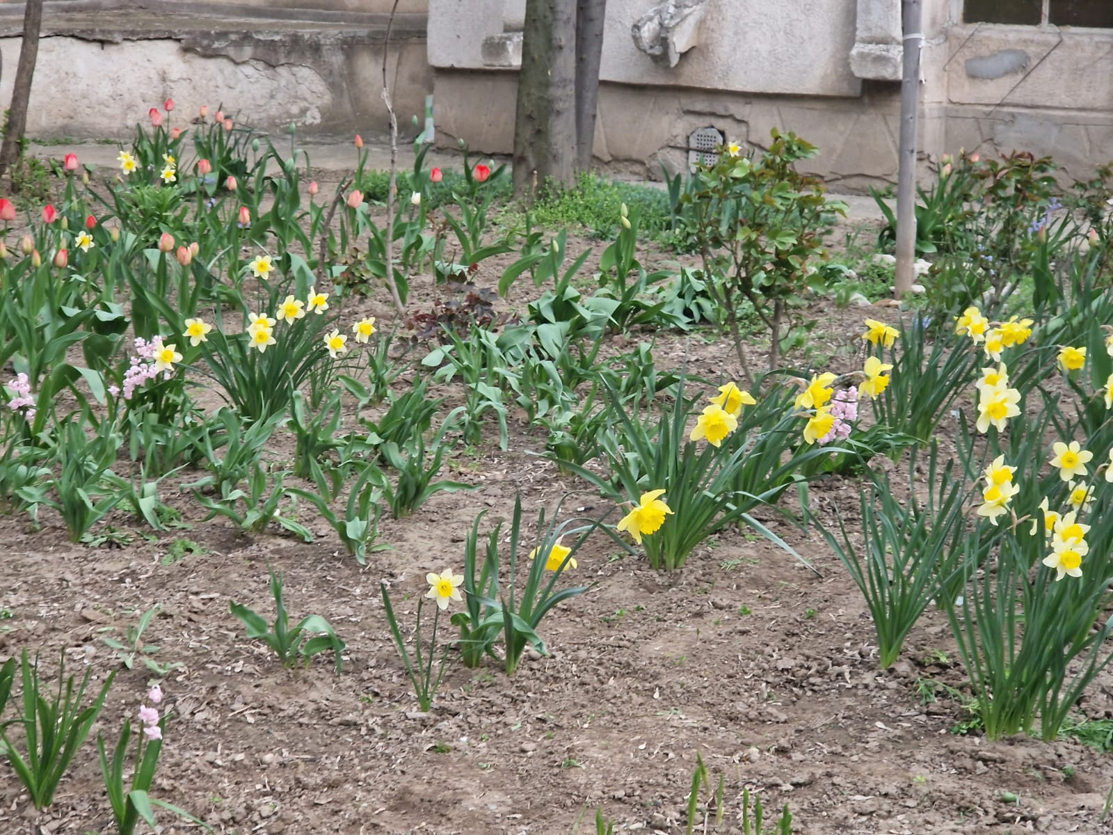 Poza zilei. Din păcate, parfumul nu se simte în fotografii