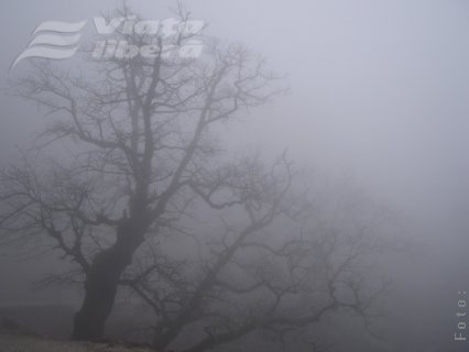 Ceaţă cât cuprinde şi toamnă pân’ la vară