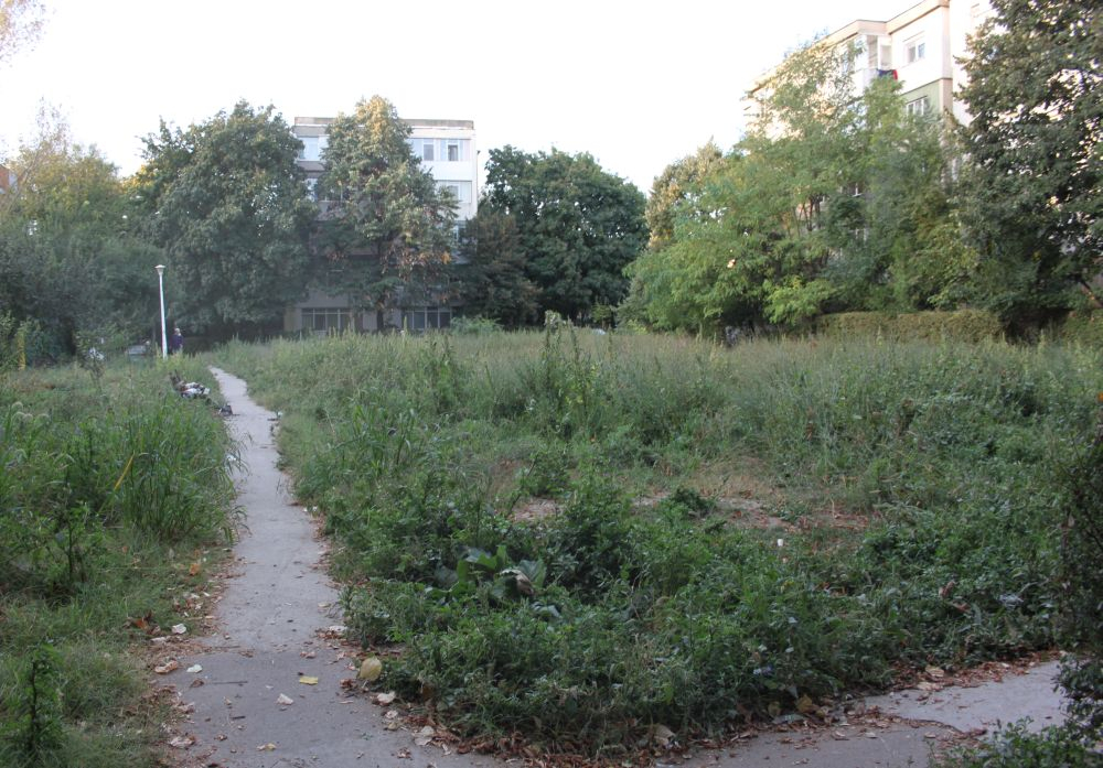 SC Gospodărire Urbană, sub "coasa" aleşilor | Operatori PRIVAȚI pentru parcuri publice