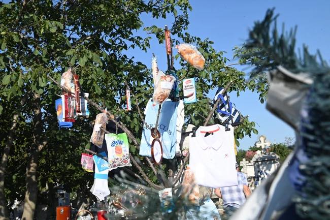 Obiceiul „Pomul de Sf. Ilie”, promovat la Șivița