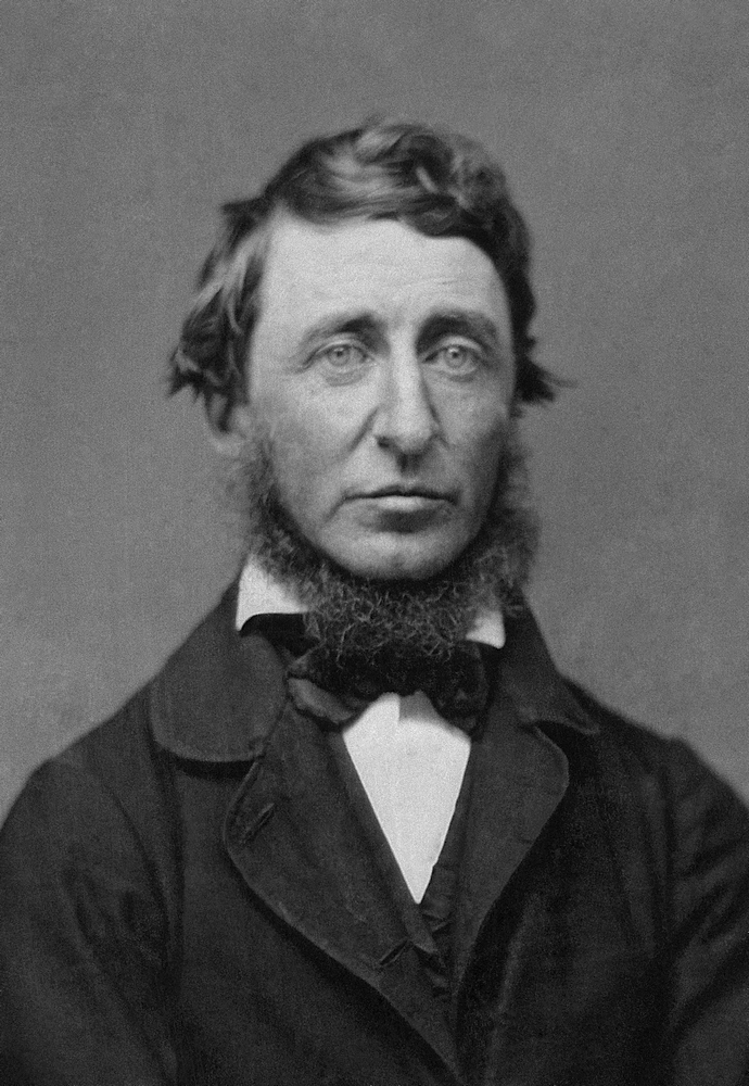 Remember. Henry David Thoreau (1817-1862)