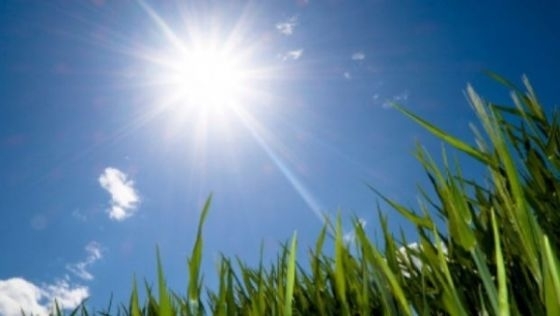 PROGNOZA METEO/ Cum va fi vremea până pe 22 iunie