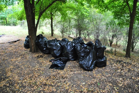 Ecologizare în Pădurea Gârboavele