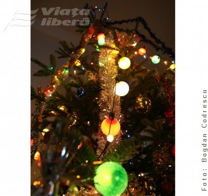 O, brad frumos şi scump!