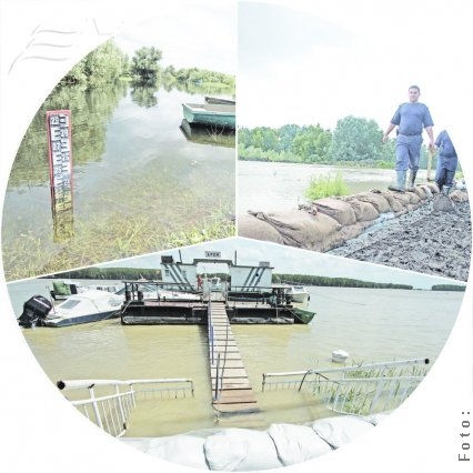 Cod roşu pe Siret şi Prut   