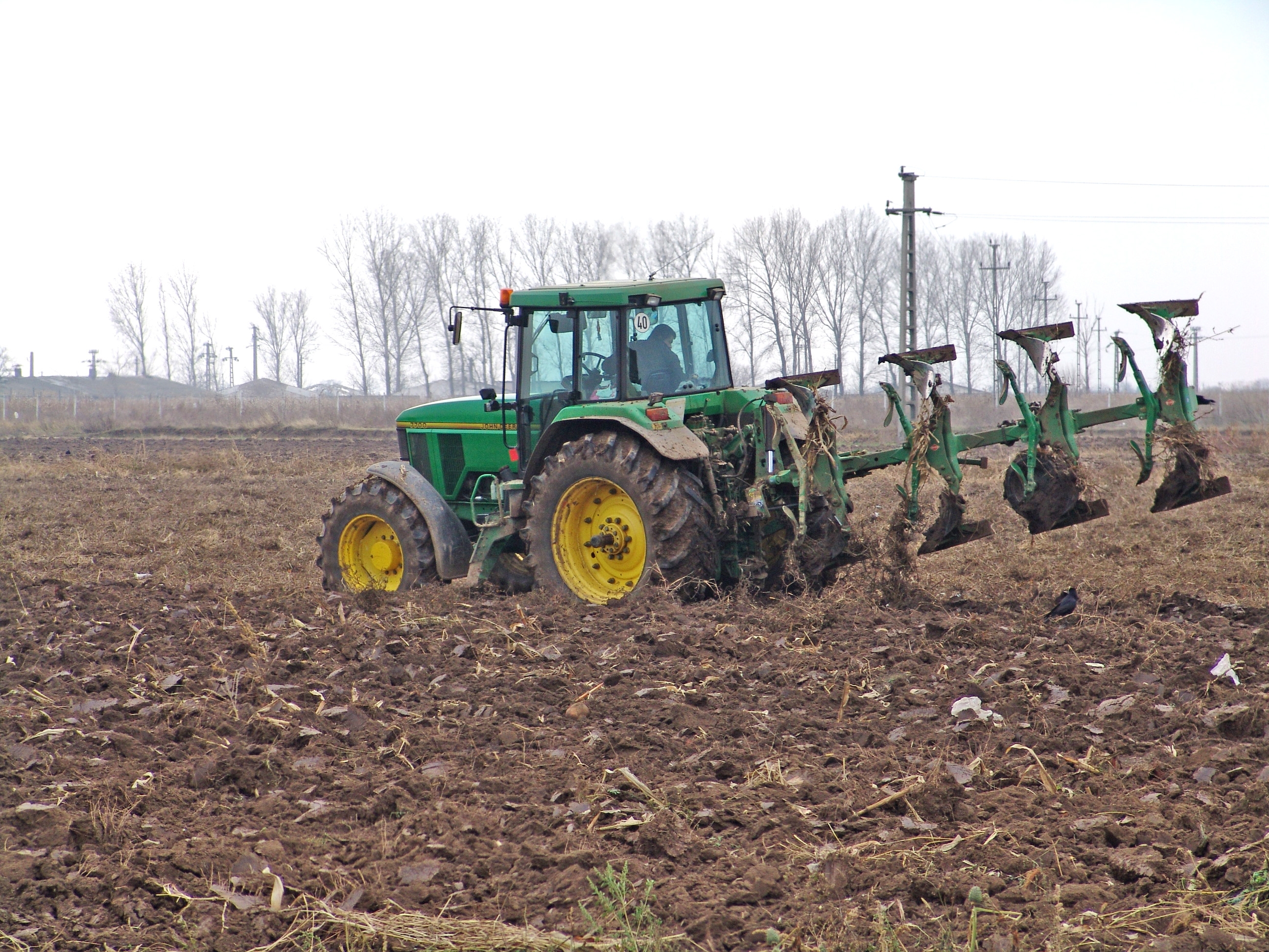 Semnal de alarmă! Întârzierea plăţii subvenţiei agricole va scumpi mâncarea la toamnă