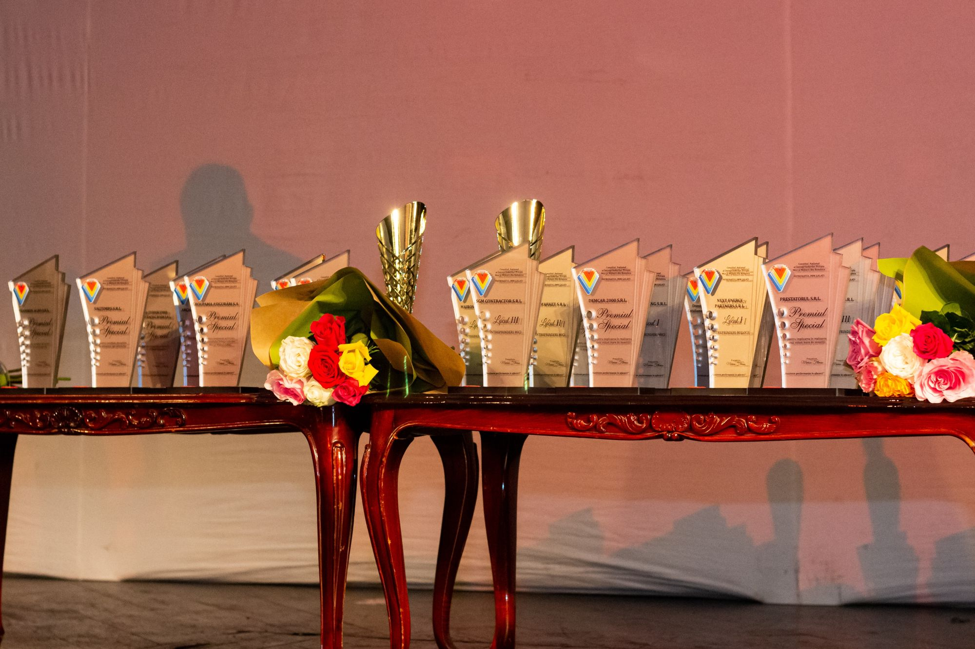 Cele mai performante firme gălățene, în vremea pandemiei. Profitul, înainte de toate