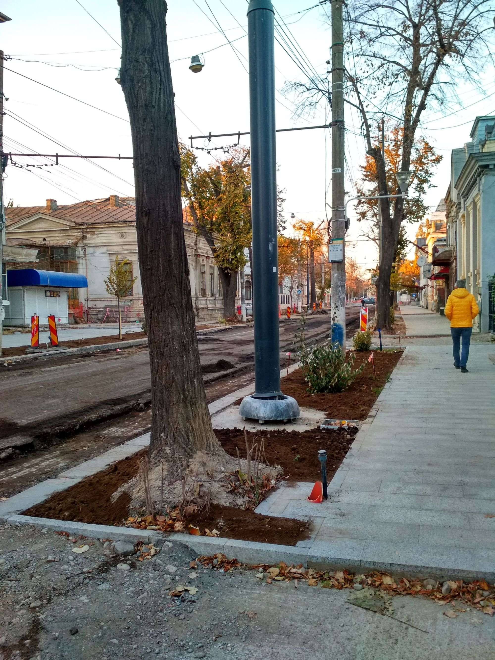 Rădăcini și aripi... dar nu în Galați