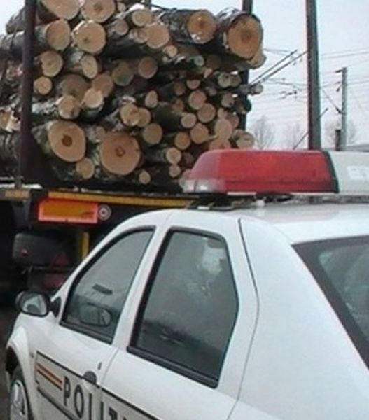 Reclamații privind transporturi ILEGALE de lemn. ”Inspectorul Pădurii”, în vizorul premierului