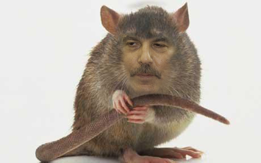 PAMFLET/ Nica, sfătuit de Pâslaru: "Torna, torna, fratre!" 