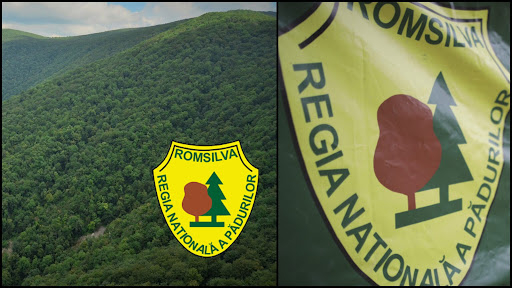 Reorganizarea Romsilva, atacată în instanță