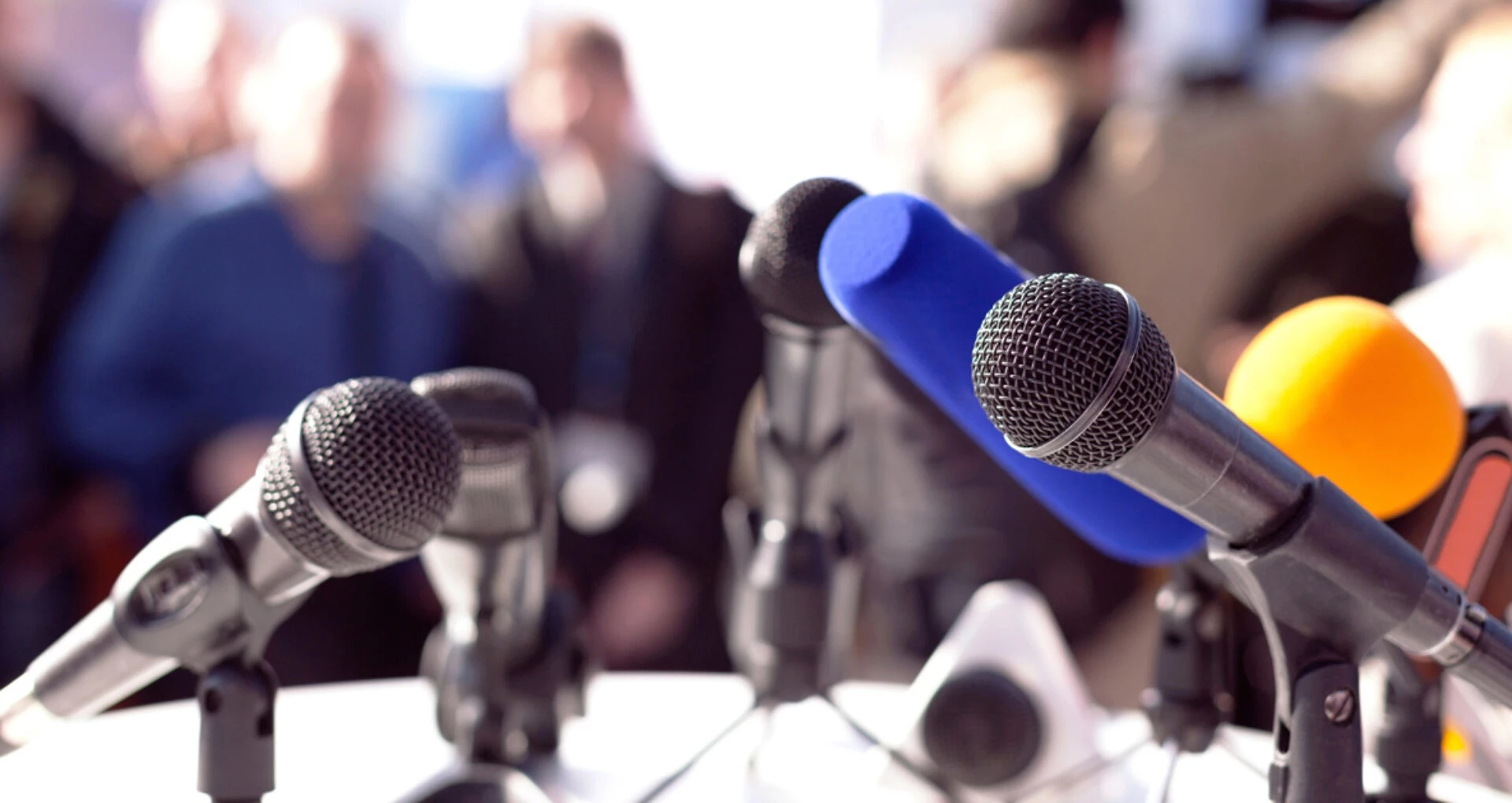 Diana Șoșoacă, boicotată de jurnaliști