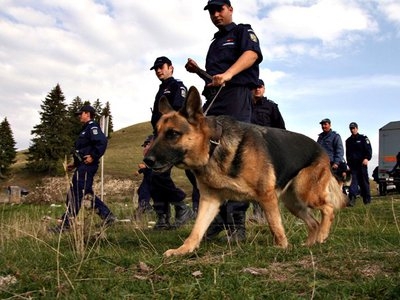 Un copil "răpit" de lângă o pădure a pus pe jar autorităţile din nordul judeţului Galaţi