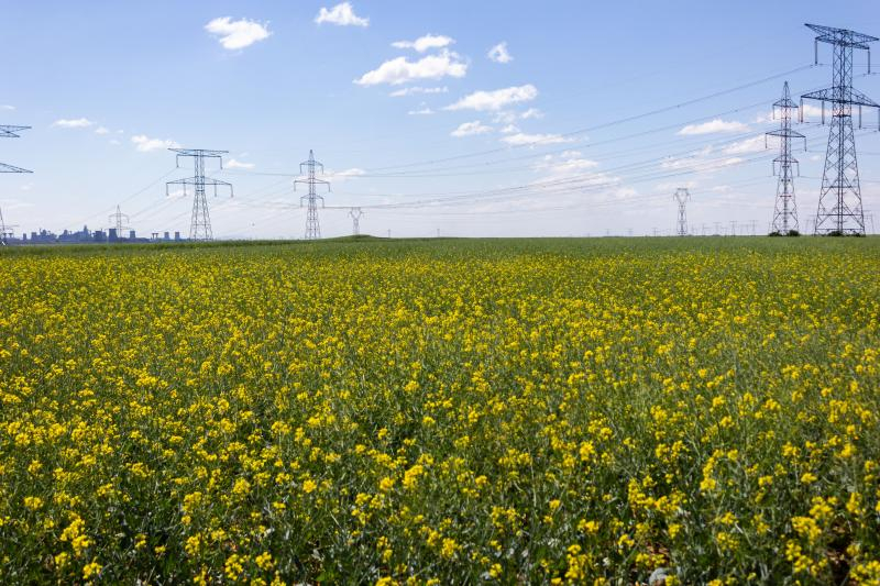 Galațiul, în topul județelor agricole