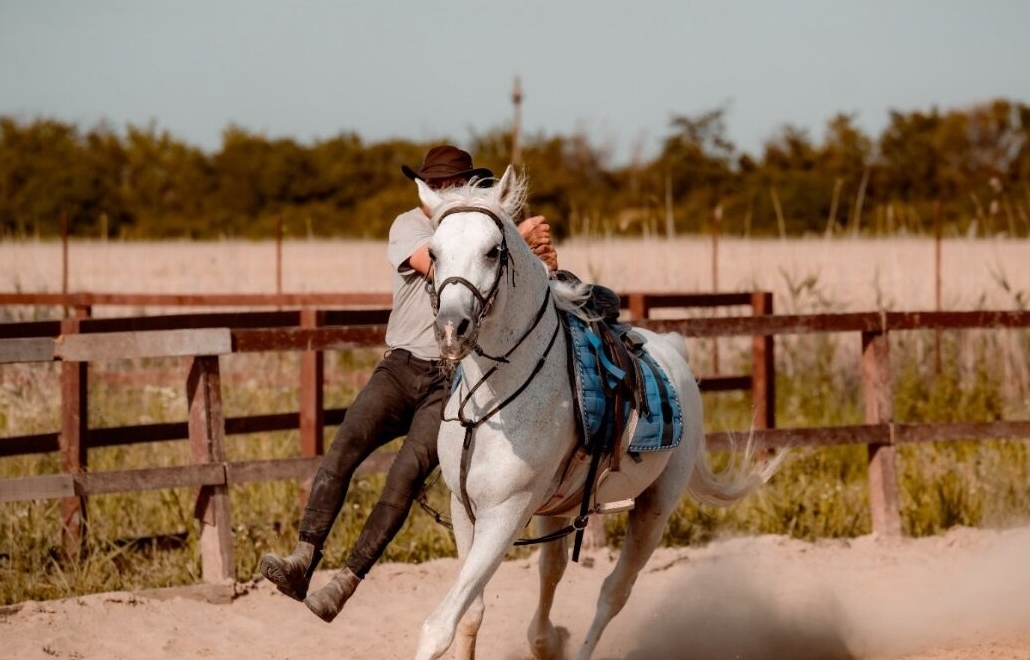 Cine va fi următorul Călin Georgescu