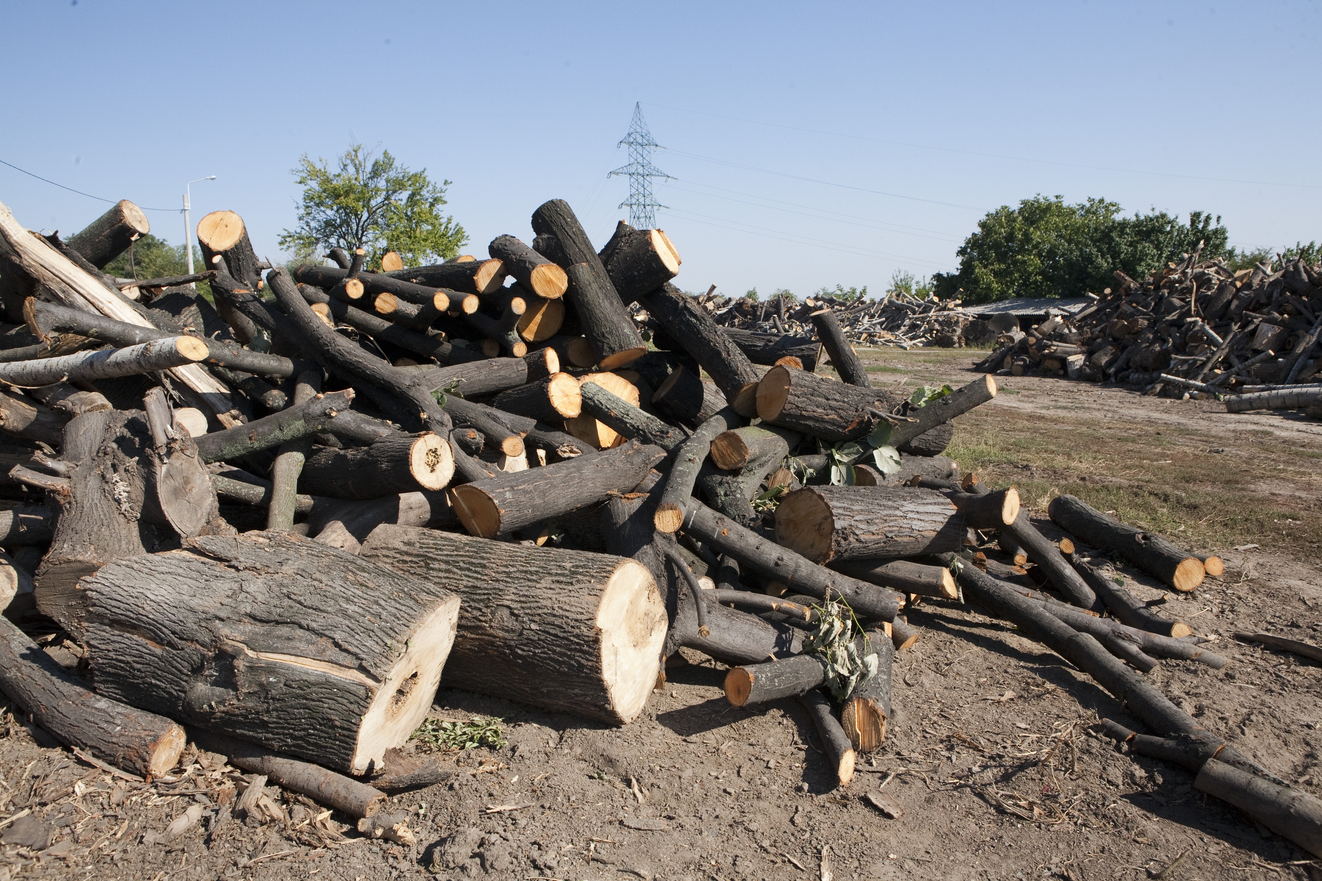 Lemne de foc pentru săracii Galaţiului