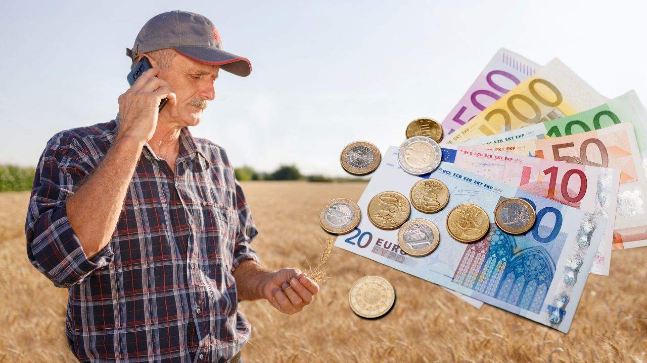 O nouă campanie de subvenții pentru fermieri