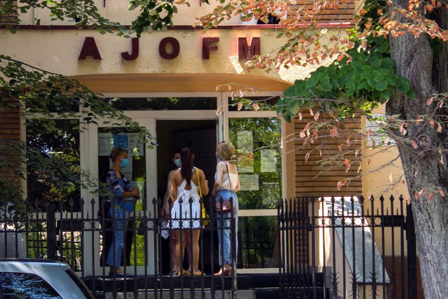 230 de locuri de muncă vacante