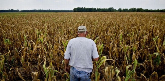 Un vecin în spital, celălalt acuzat de tentativă de omor, dintr-un motiv banal