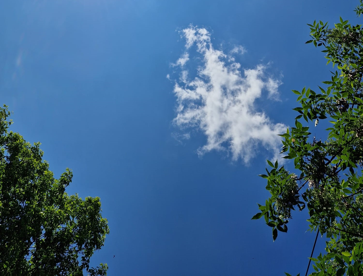 Înnorări şi intensificări ale vântului