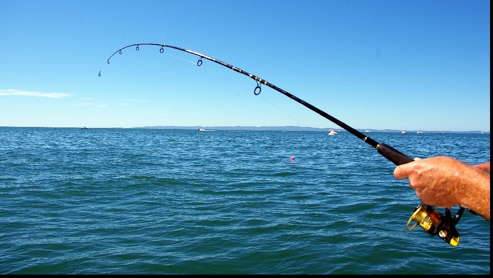 Promovarea pescuitului ca ocupaţie tradiţională în judeţul Galaţi