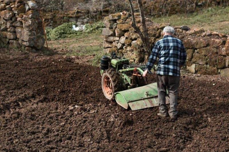 Reguli de siguranță de care să ții cont atunci când folosești o motosapă pe benzină