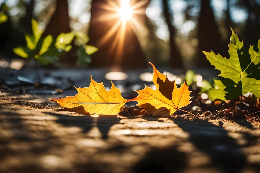 Vremea se răceşte începând din 4 septembrie