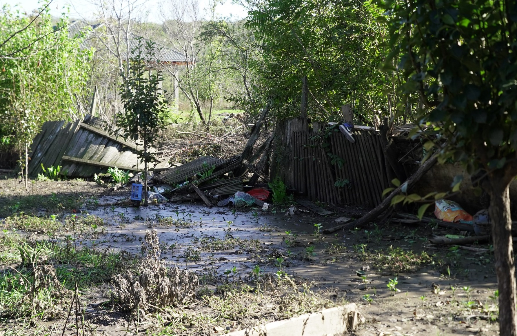 Peste 2.000 de familii au primit banii de la Guvern
