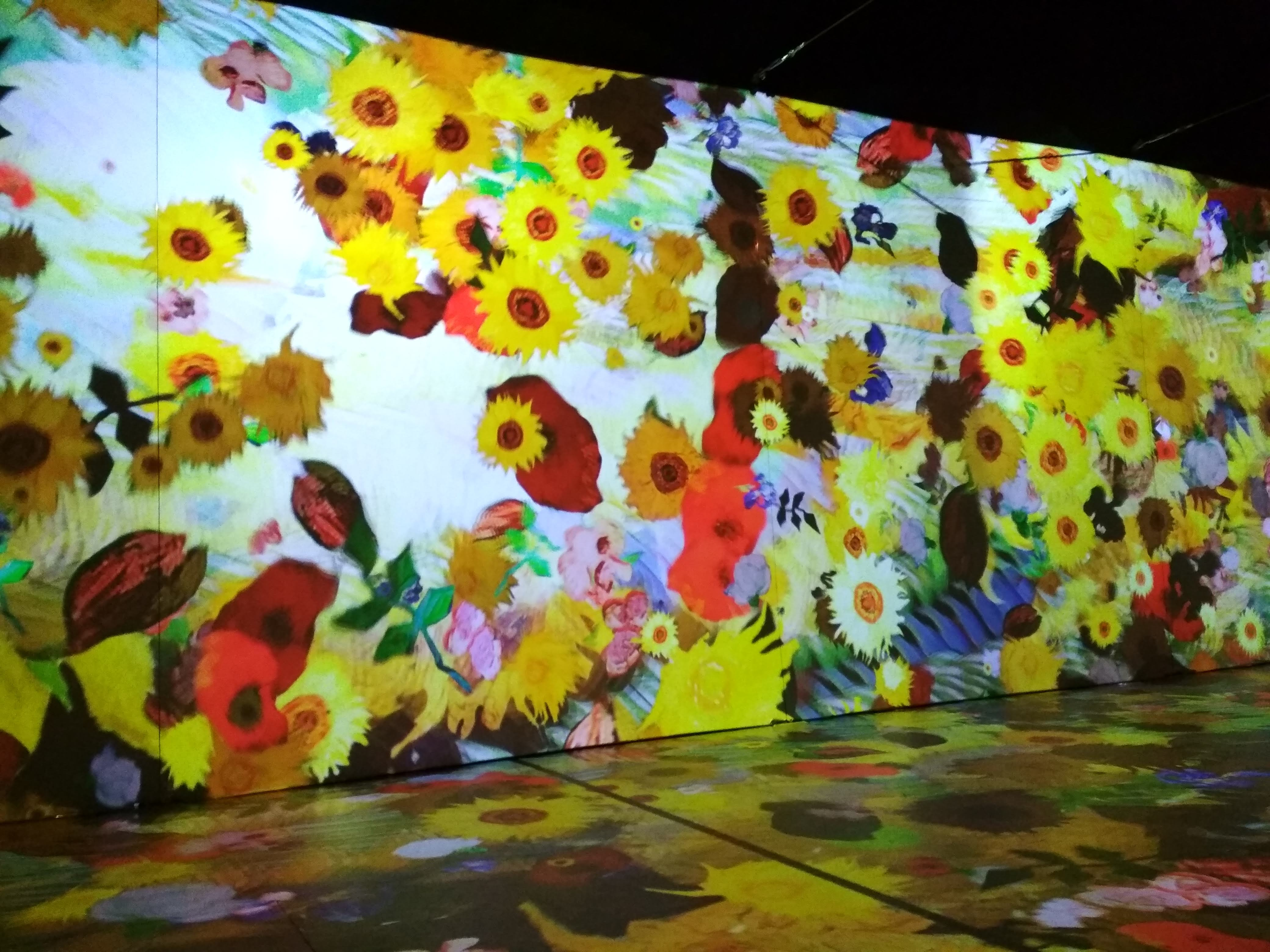 Museum of Immersive New Art ajunge şi la Galați (FOTO)