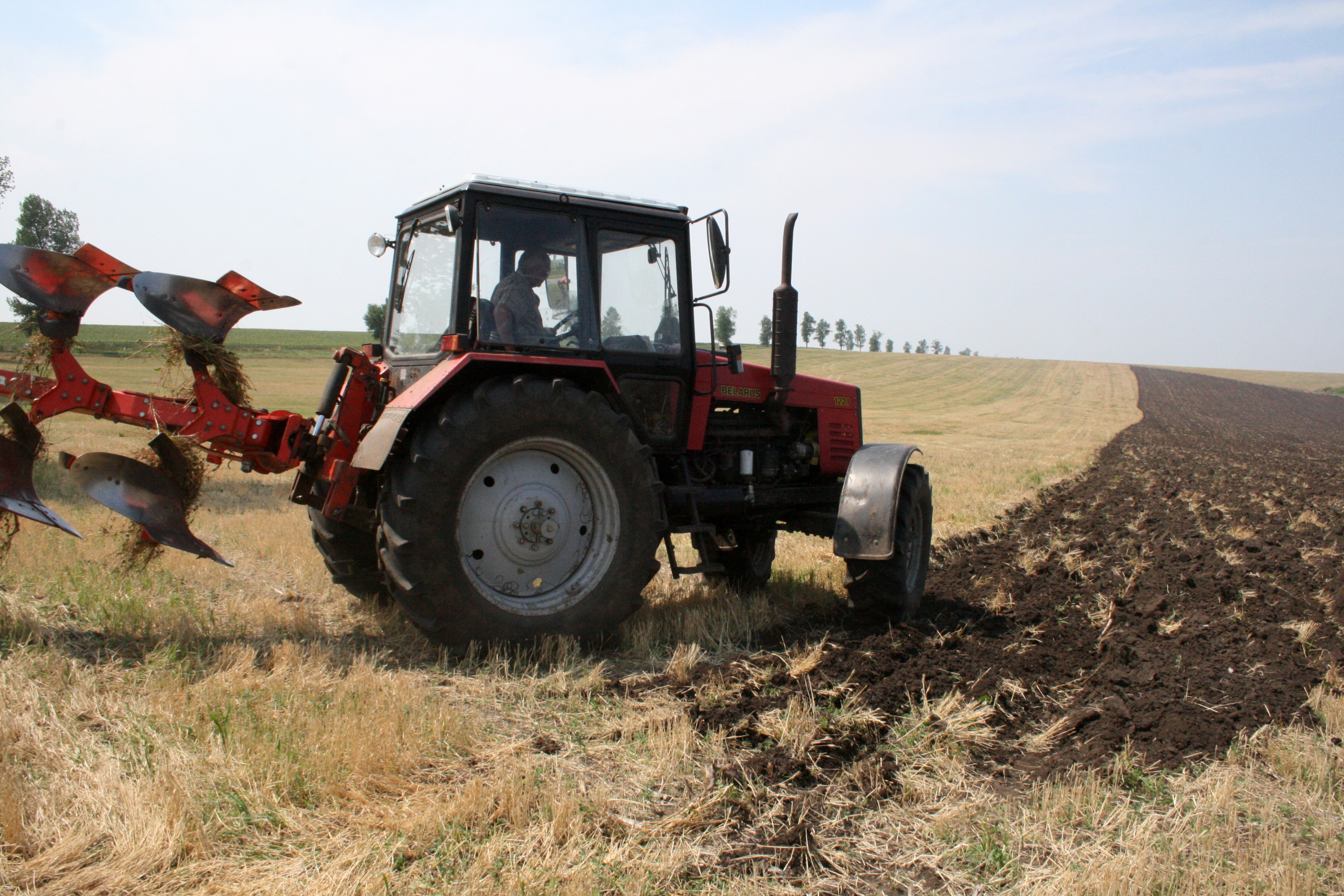 Stadiul înfiinţării CULTURILOR DE TOAMNĂ în judeţul Galaţi