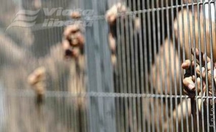 Deţinut gălăţean, mort la Brăila