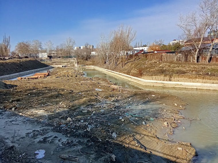 Cum s-a transformat malul defrişat al Dunării în ultimul an (FOTO)