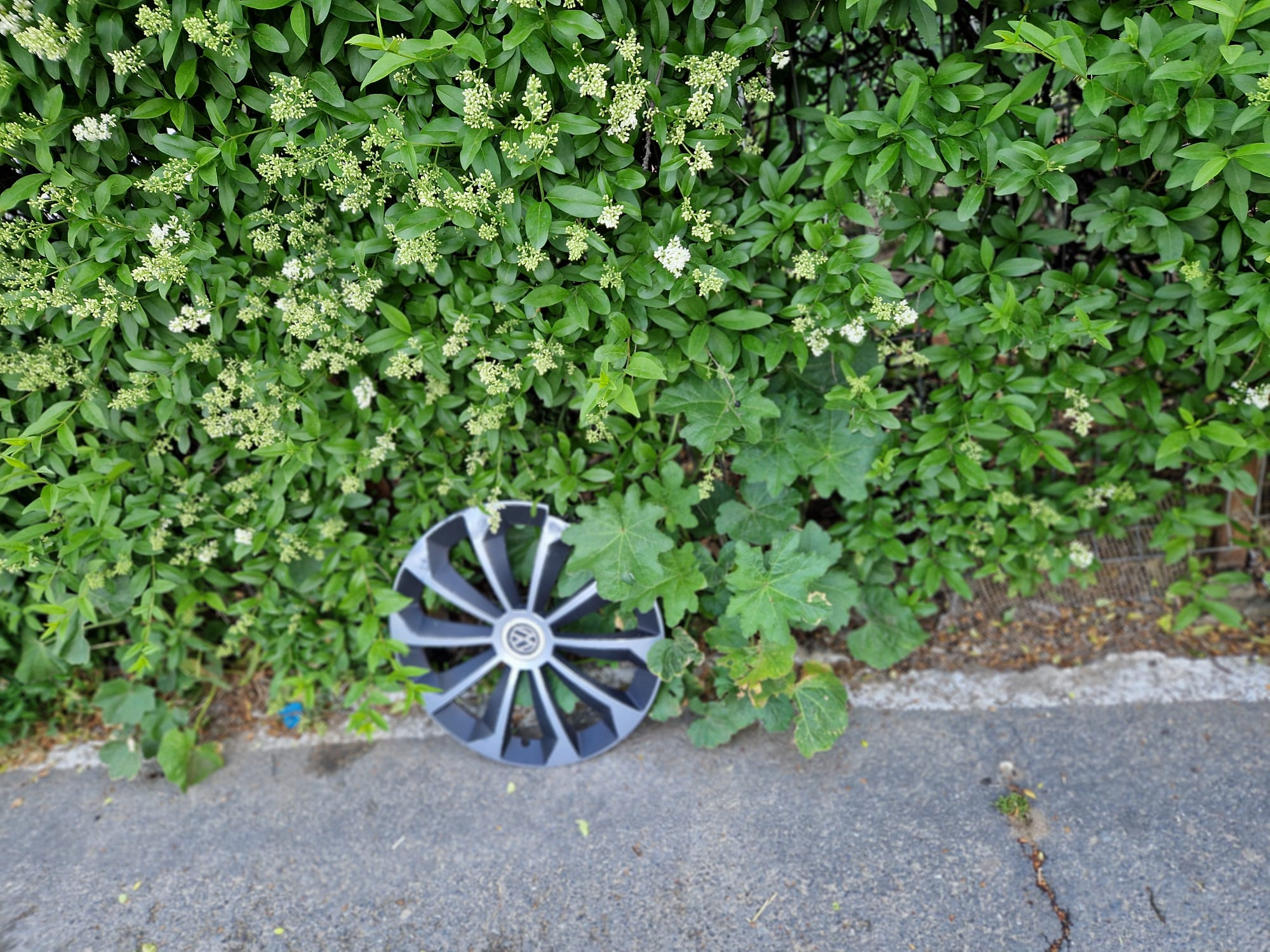 Poza zilei. Cine-a uitat capacul în drum