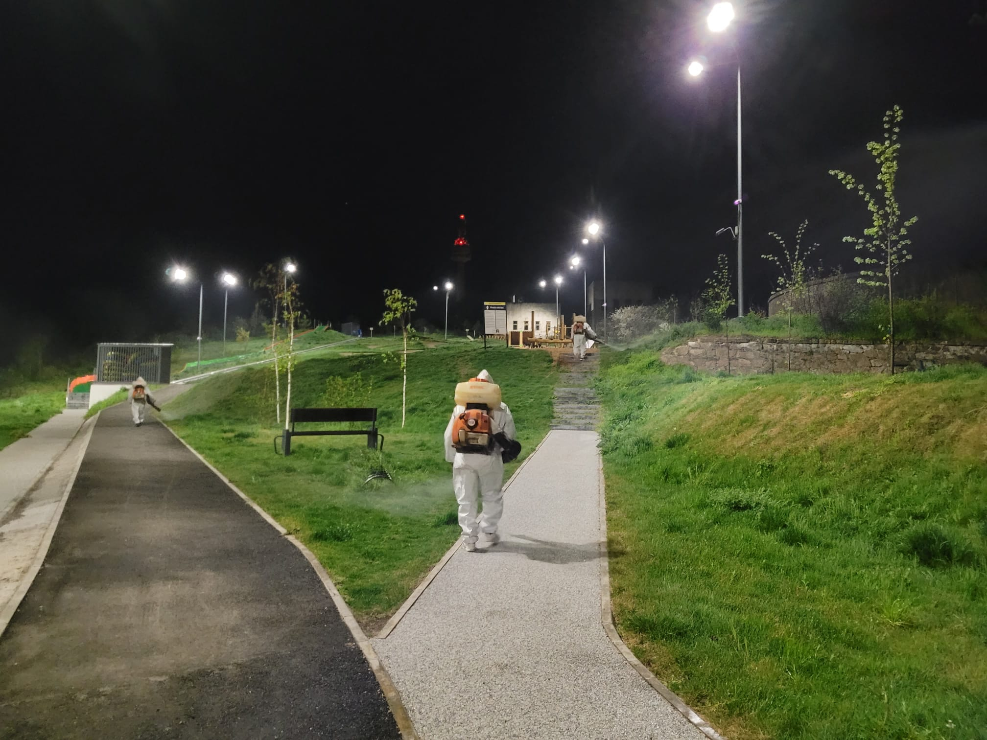 Dezinsecție la sol, săptămâna viitoare