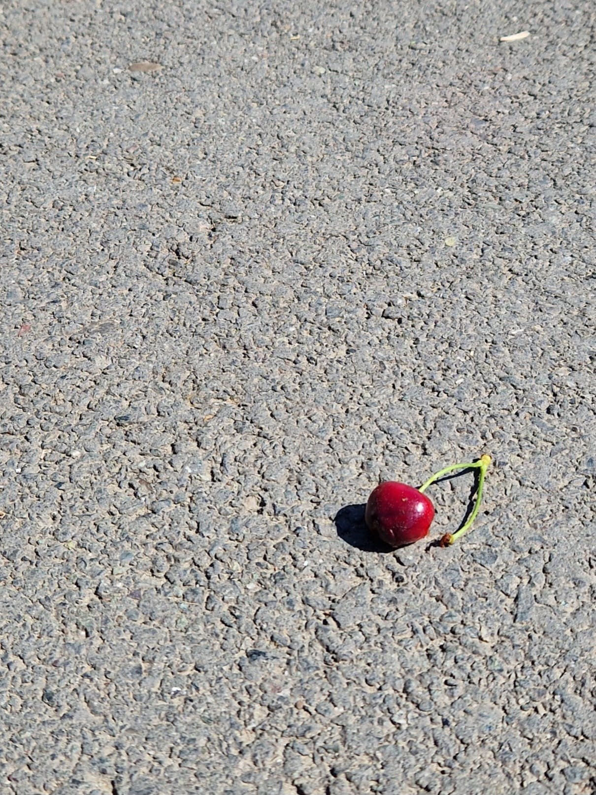 Poza zilei. Comoara din mijlocul străzii