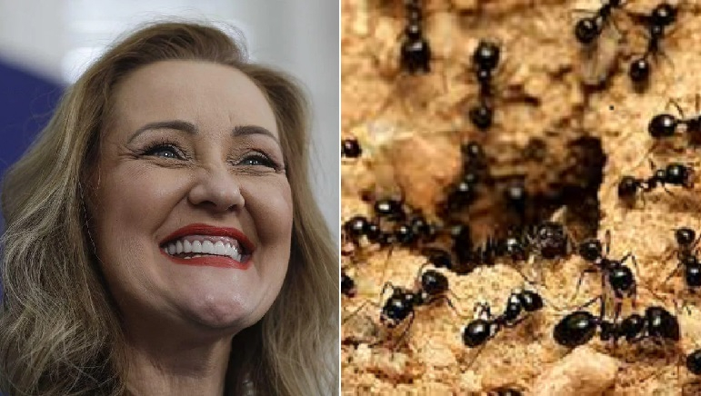 „Ace, brice și Furnietzsche”, de Lenuța Lasconi