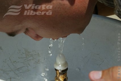 Ţâşnitorile-oliţă