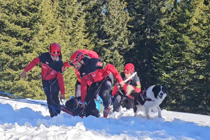 Record istoric de intervenții Salvamont