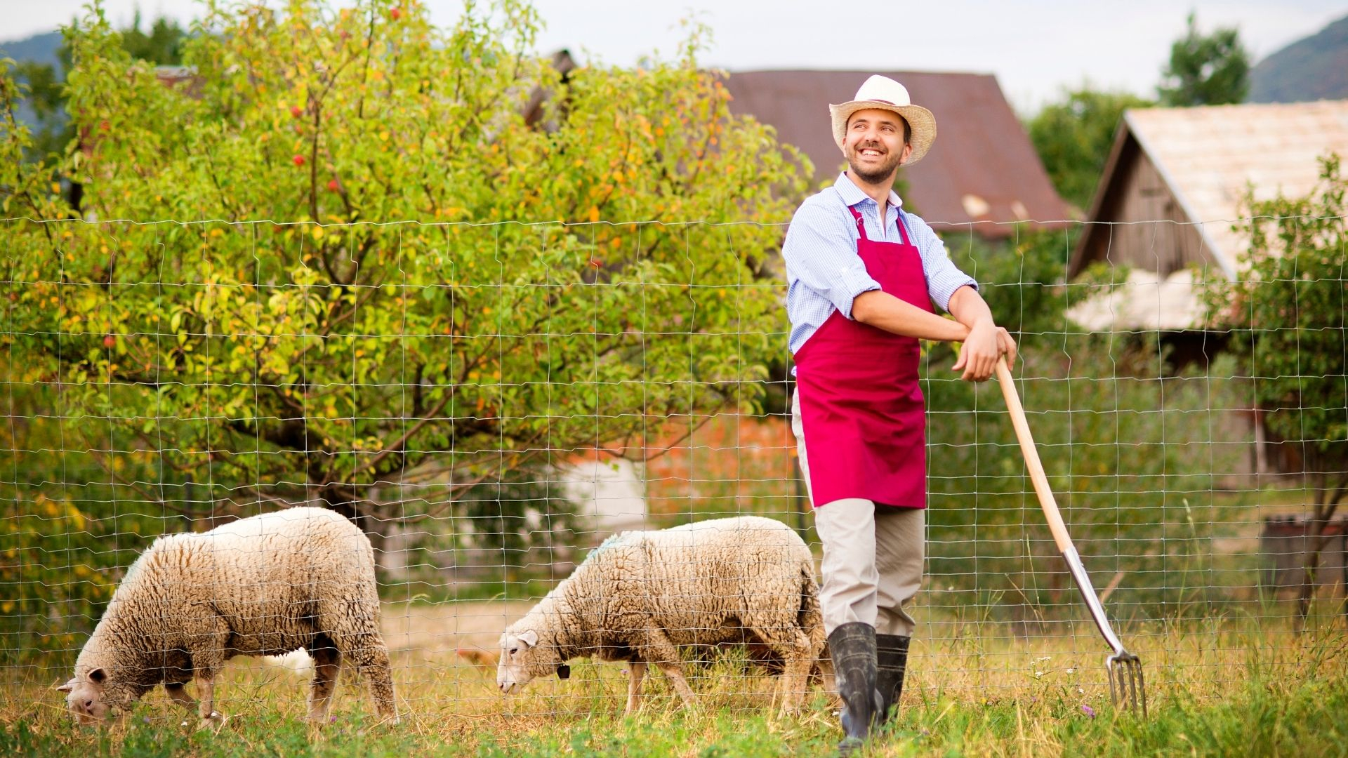 Bani europeni pentru tinerii fermieri gălățeni