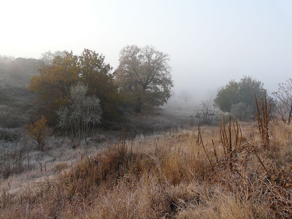 PROGNOZA METEO/ Cum va fi vremea în toamna asta la Galaţi