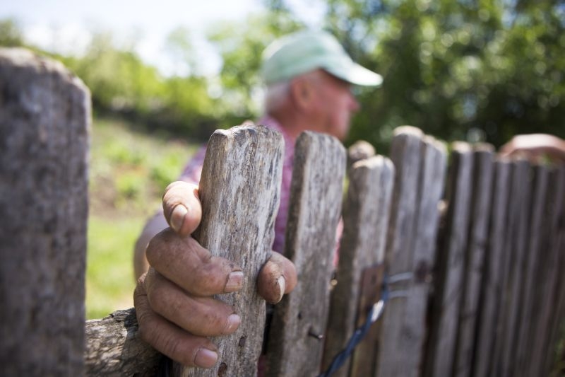 "Sate care mor", o nouă campanie a "Vieţii libere"