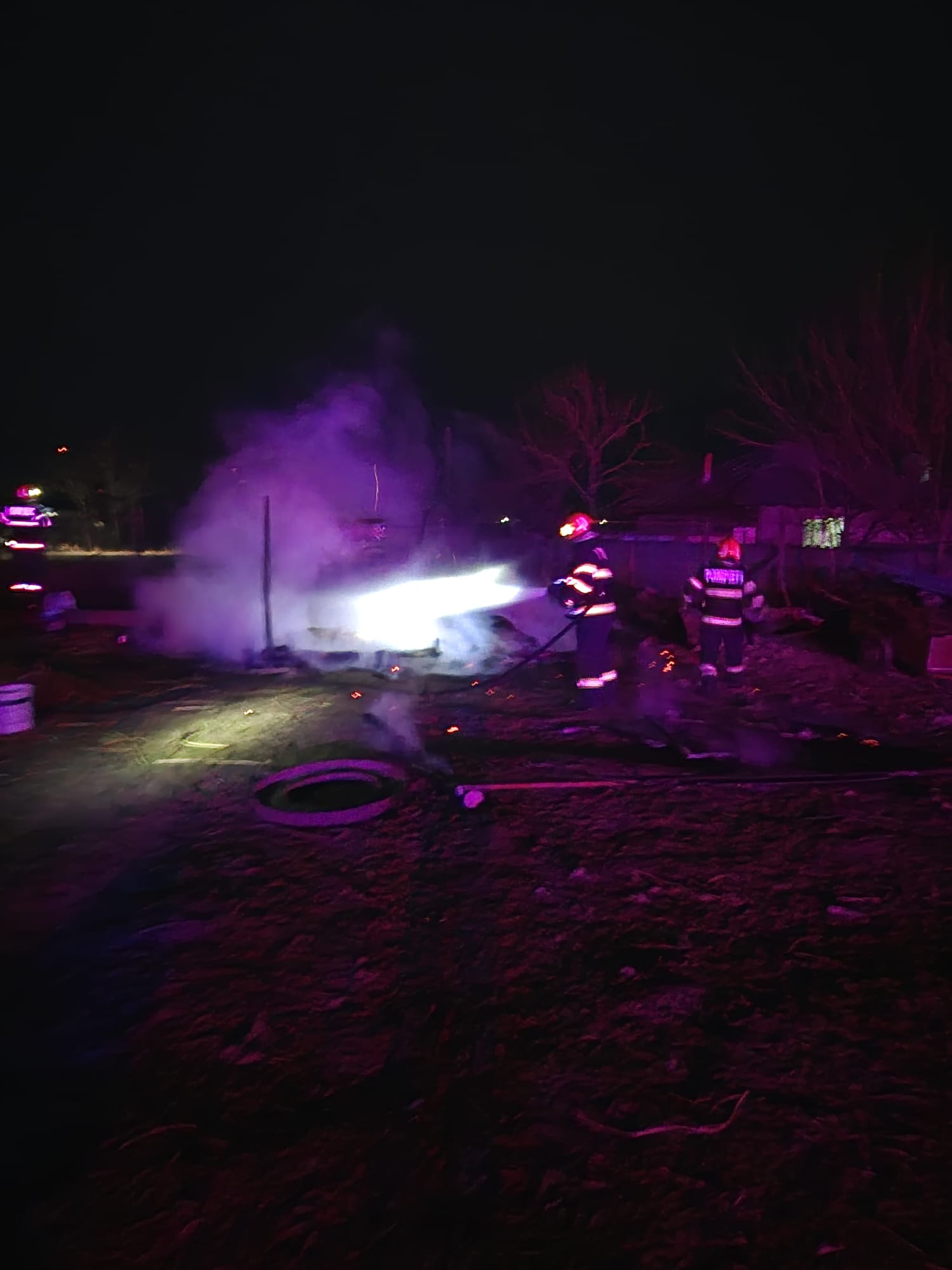 12 animale arse în urma unui incendiu, în județul Galați